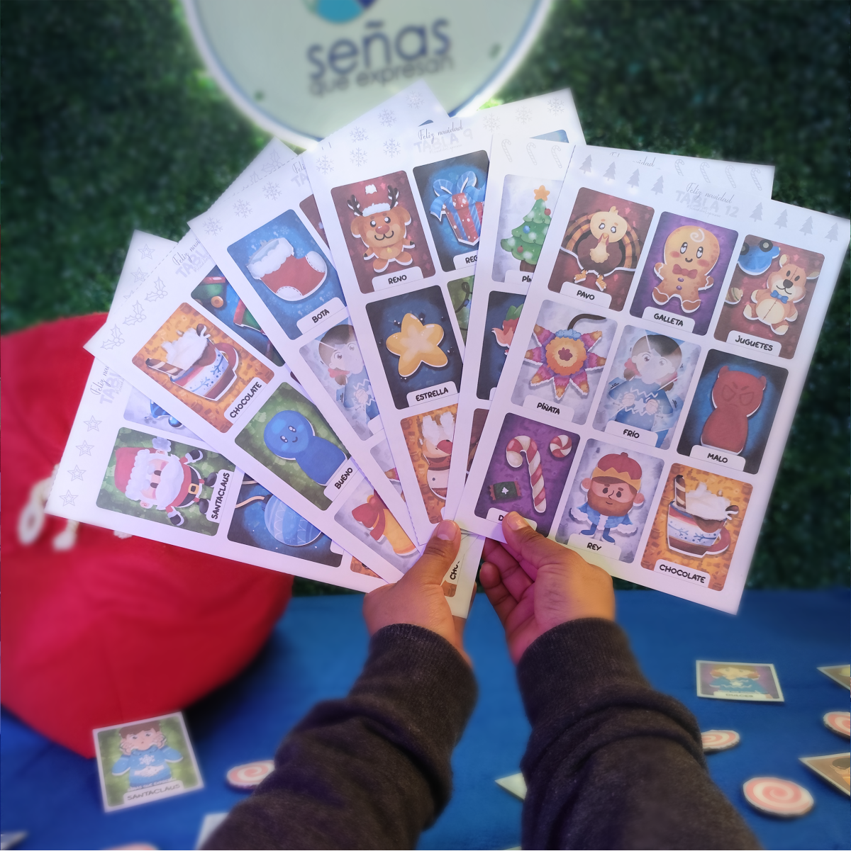 Lotería Navideña LSM